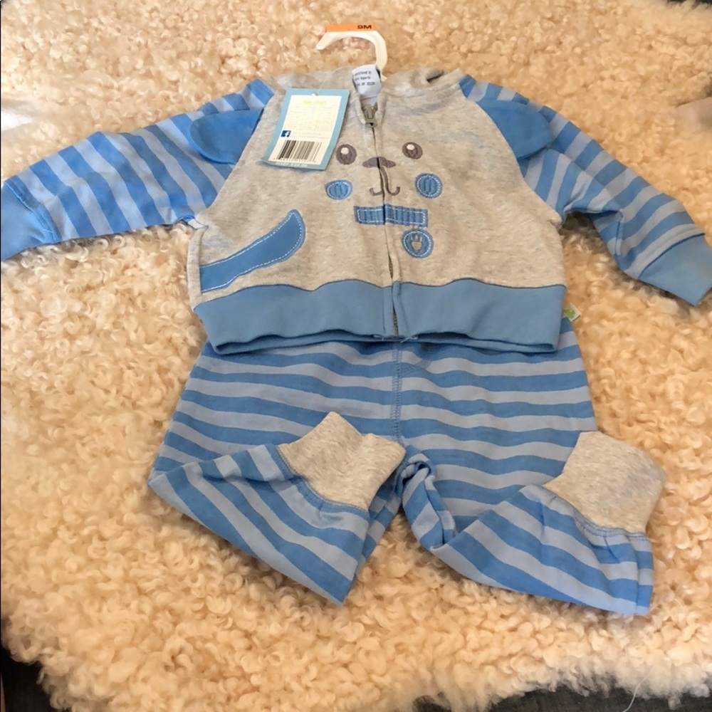 Hooded sweater and pants doggy outfit